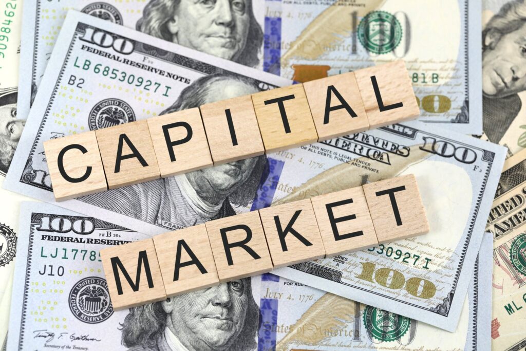 the capital market is the market for everfi